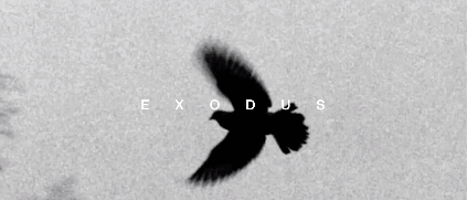 엑소 패스코드는.. 티저계 레전드거든... | 인스티즈