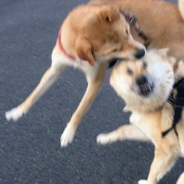 진짜.... 과제는 사라져야될.... 사회의 악이야........... | 인스티즈