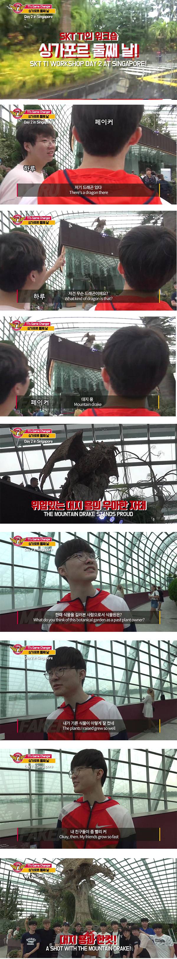 [LOL] 대지드래곤을 실물로 본 페이커의 반응 | 인스티즈