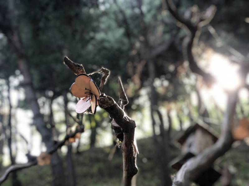 이 틈에 아이폰 인물사진 자랑 ,,,, | 인스티즈