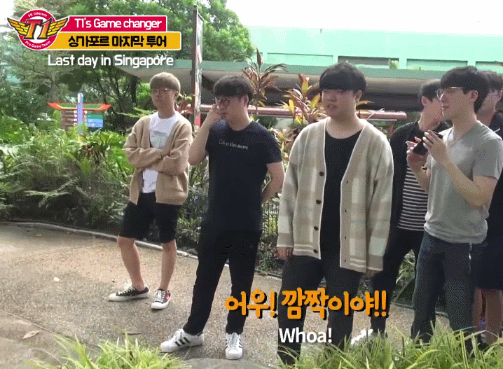 [LOL] 페이커 표정 (o 0 o) 로 만든 싱가포르 음식 | 인스티즈