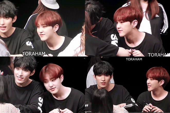 세븐틴 호시 동생들한테 치대고 동생들이 호시 귀여워 하는 거 넘 따수움ㅠㅠ | 인스티즈