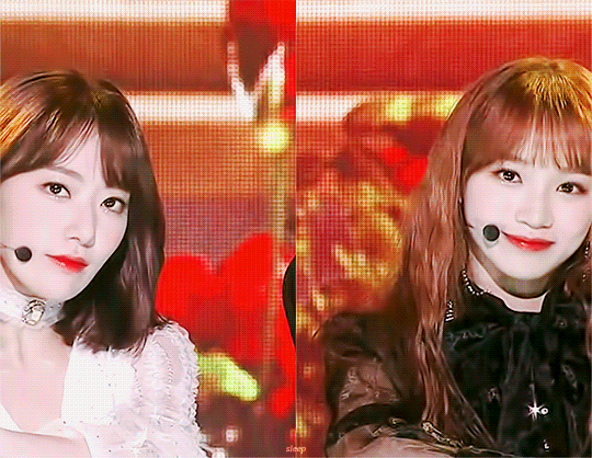 사쿠라랑 채원이 표정봐ㅋㅋㅋ너무달랔ㅋㅋㅋㅋ | 인스티즈