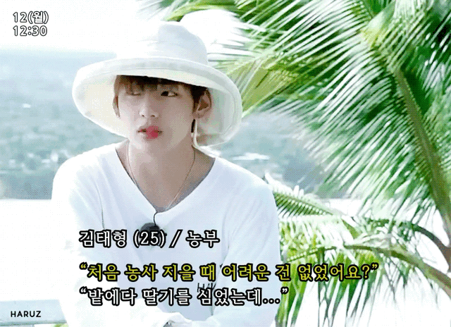 딸기농부 김태형 🍓 그리고 당근맨 🥕 | 인스티즈