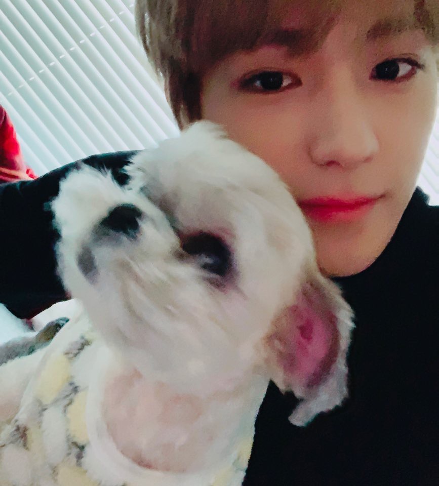 [잡담] 이재현 다롱이랑 찍은 사진 다 좋아🐶❤ | 인스티즈