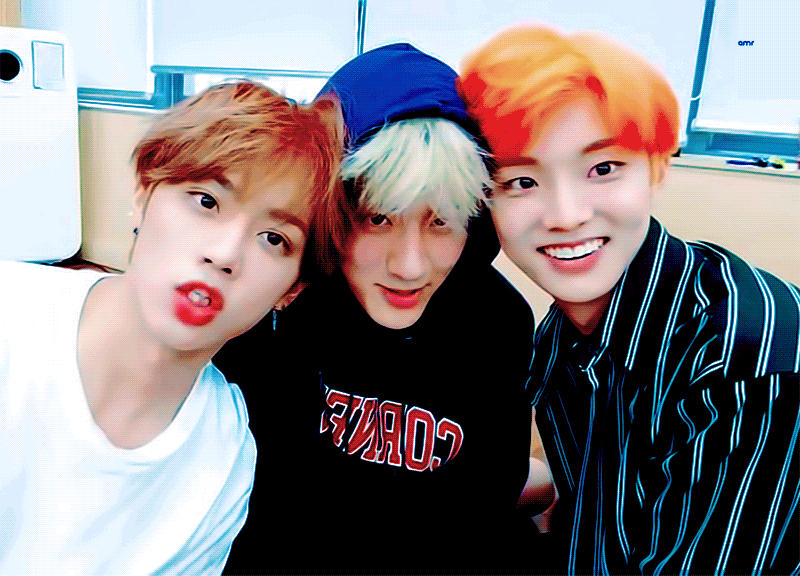 [잡담] 더비들아 모닝 더보이즈 테라피❤ | 인스티즈