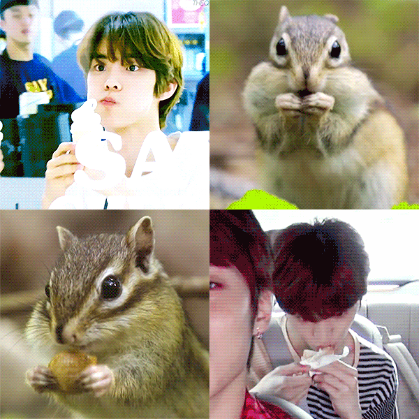 로투킹 괴도에서 마지막 엔딩을 담당한 더보이즈 멤버 | 인스티즈