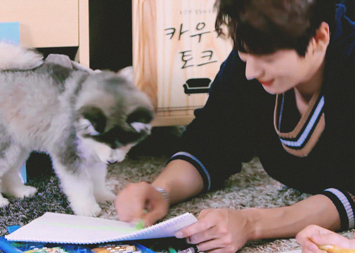 더보이즈+강아지=필승조합 | 인스티즈