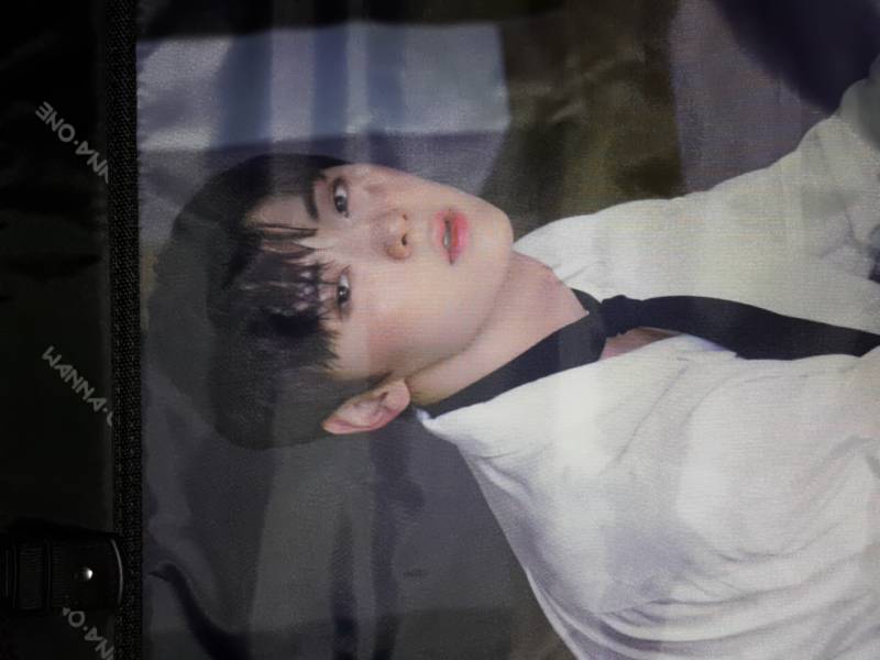 황민현) 워너원 황민현 팝업스토어 캐리어 안감 양도합니다 | 인스티즈