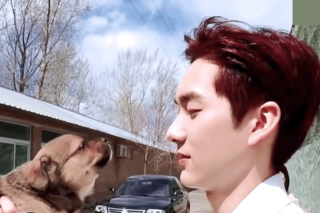 내기준 곽아론 최고의 짤 | 인스티즈