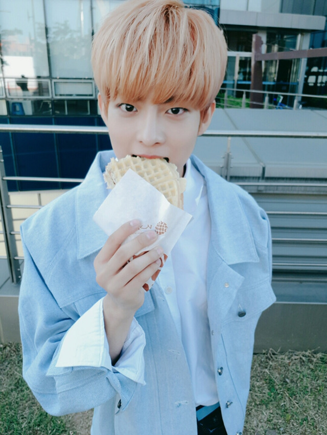 난 원래 양심같은거 없는 사람이니 정수빈 들튀 해야지 | 인스티즈