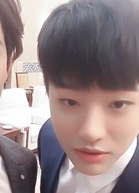 조승연 바부고양이 아니구 천재고양이 | 인스티즈