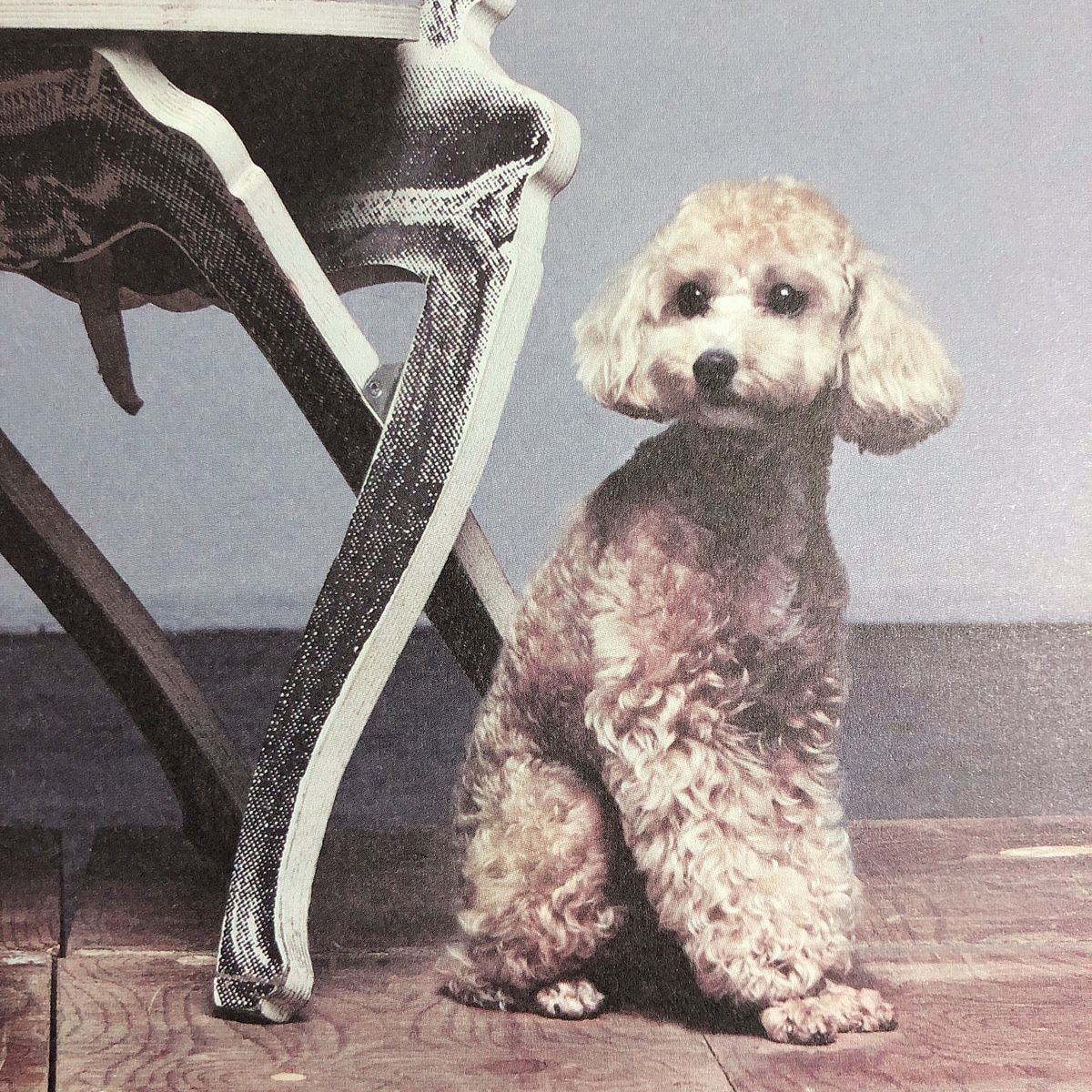 윤지성과 김호두의 조합은 사랑입니다 | 인스티즈