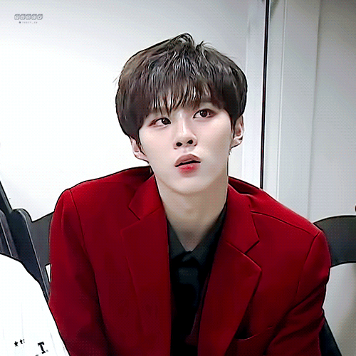 내 남돌 여돌 최애들 소나무인가...🐱 | 인스티즈