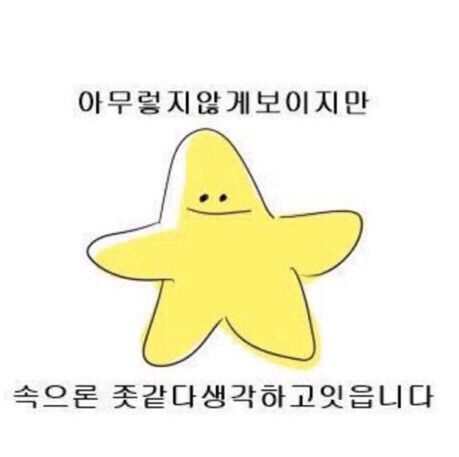 [마플] 인용에 이제 수만이한테 남소 안받을래가 너무 웃안웃임 | 인스티즈