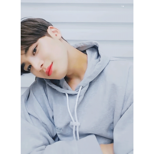 누가 젤 찰떡인 거 같아? ㅈㅇ 세븐틴 | 인스티즈