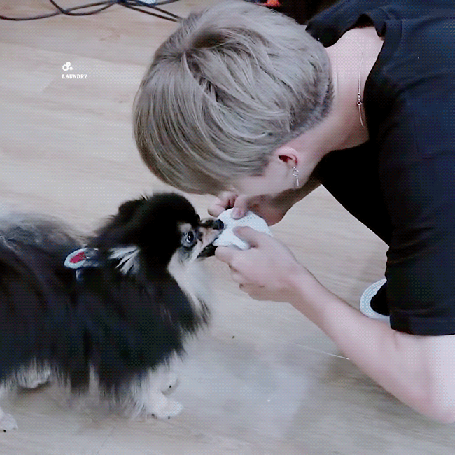 강양이와 연탄이 | 인스티즈