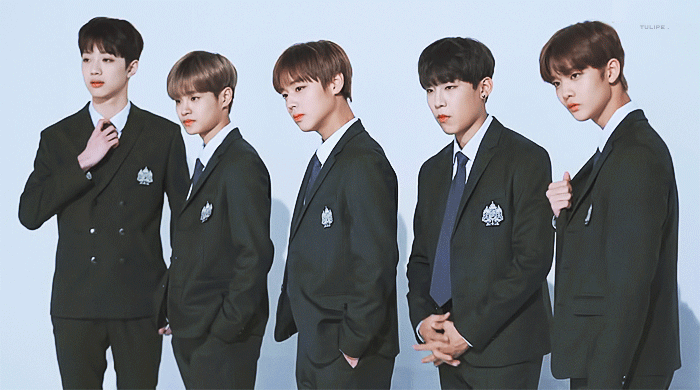 워너원 성인단 미자단 정리한다 | 인스티즈