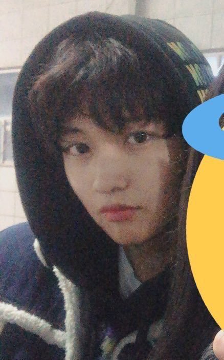 큰방 인싸라면 누구나 안다는 >유성준< 소개글 | 인스티즈