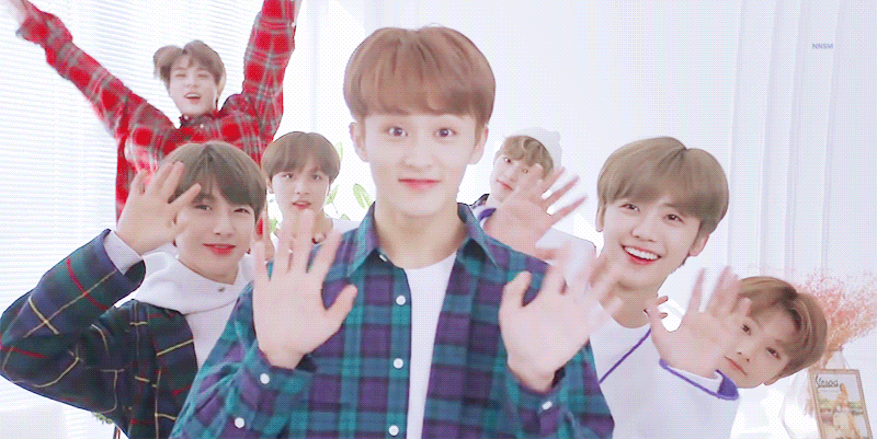 🐯🦊🐶🐻🐰🐬🐹 | 인스티즈