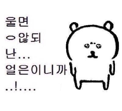 스노우 왜 고양이만됨 | 인스티즈