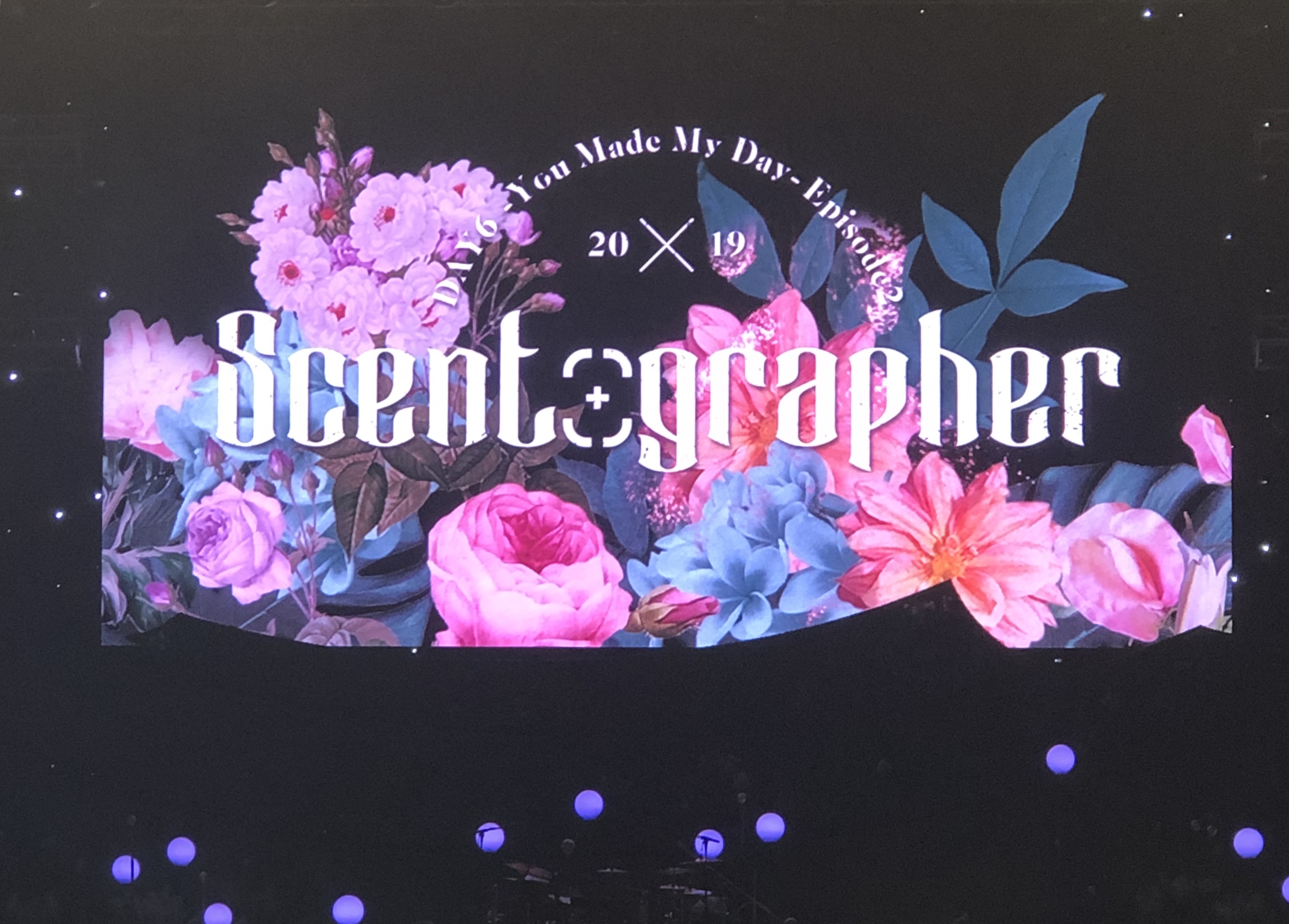 일 못하는 데이식스 회사가 잘하는 하나 = 팬미팅 컨셉 | 인스티즈