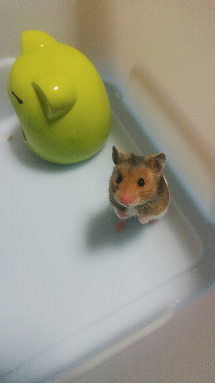 '수기'를 소개합니당 | 인스티즈