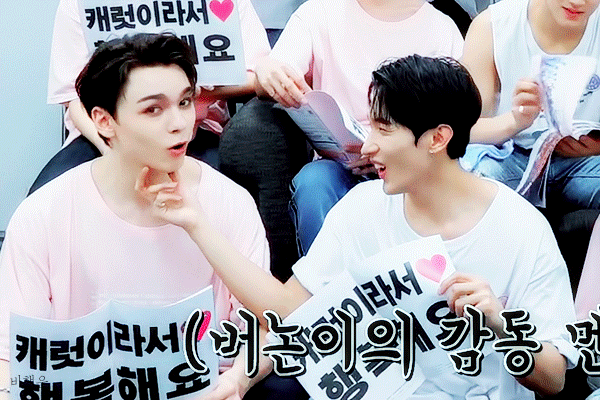 세븐틴은 자기들끼리 좋아죽음 우리는 쨉도 안돼 | 인스티즈