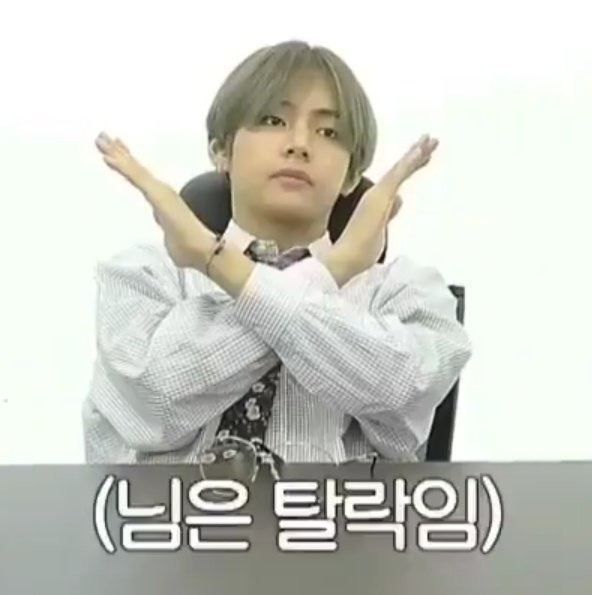 보아라 조국의 개... 읍!! | 인스티즈