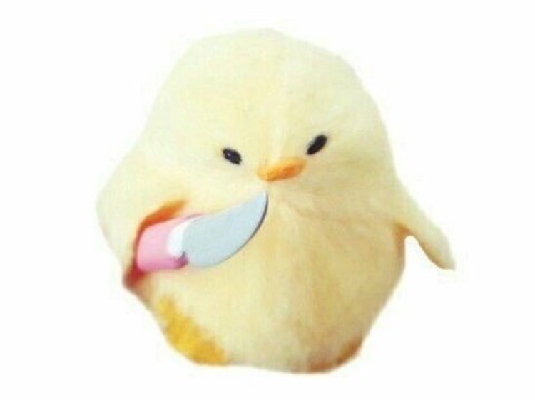 [OnAir] 잉피 콘서트 노잼이니까 나만갈게 | 인스티즈