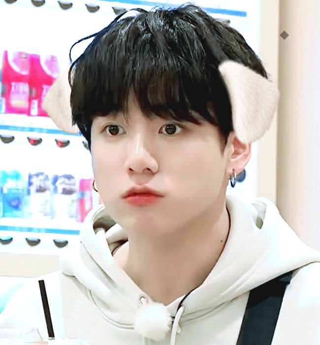 [잡담] 그럼 너네 본진 중에 강아지는 누구야 🐶🐶🐶 | 인스티즈