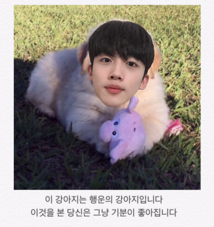 이러면 안되는데 나 요랑단 | 인스티즈