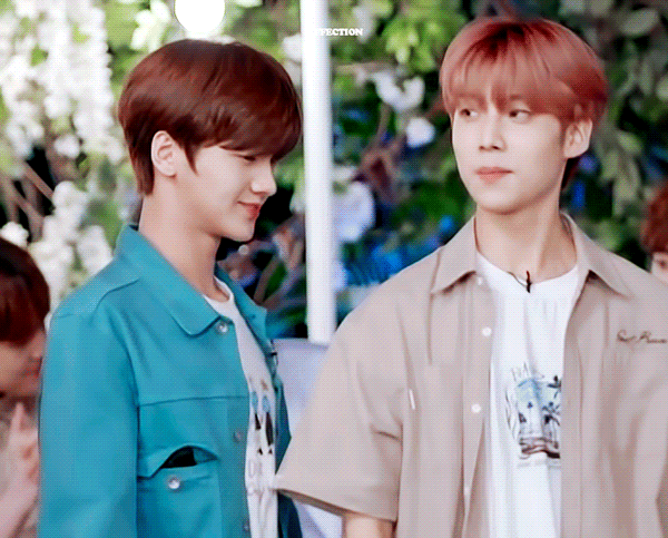 ㄱ 퐄챠모음💕 | 인스티즈