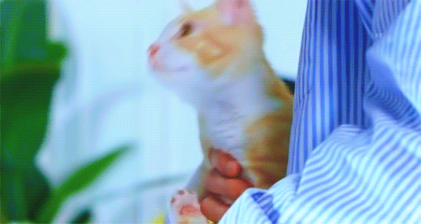 우리가 버블을 한다는데 후루가 금지어래 왜일까 | 인스티즈