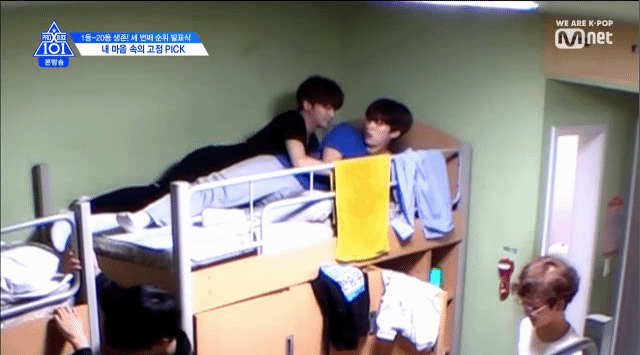 차요차요 좋아하는 사람 | 인스티즈