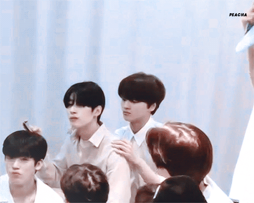 한승우 차준호 차우차우 짤 푼다 | 인스티즈