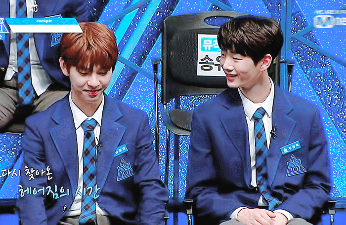 아리들 멘탈 소중해 아리들 사랑해 다들 힐링하구가 | 인스티즈