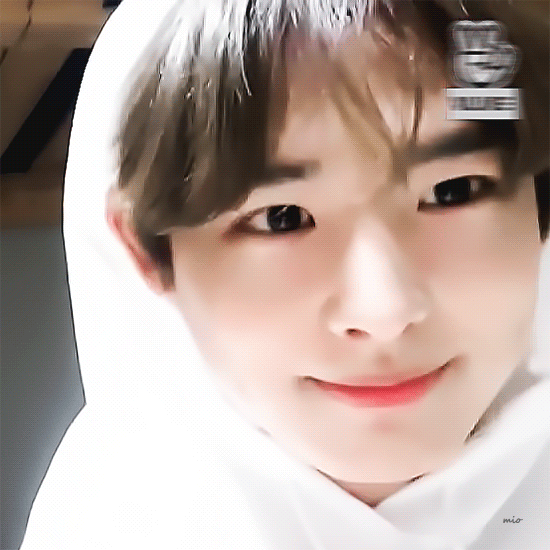 우리애는 병아리 강아지? | 인스티즈