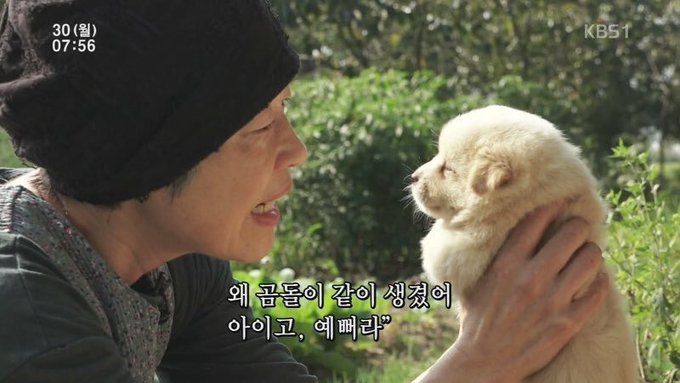 다들 귀여운거 보고싶으면 보러와 | 인스티즈