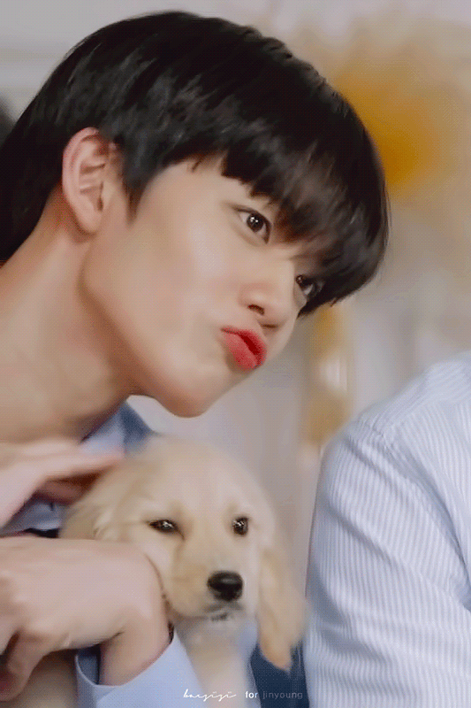 진짜 배진영으로 억울호 끌지마 | 인스티즈