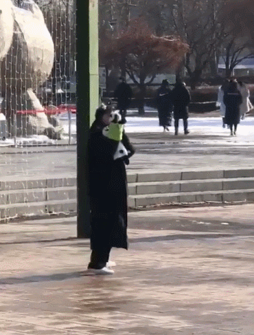 에이핑크 손나은... 다들 시크+도도한줄 아시는데... | 인스티즈