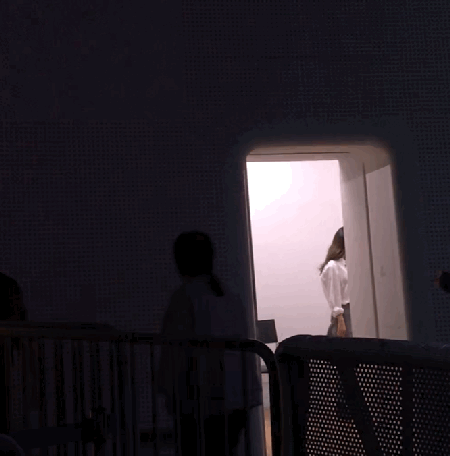 나에게만 예뻐보이는 순둡뽀짝뽀뚱휘이니 보고 힐링하고가세욥 | 인스티즈