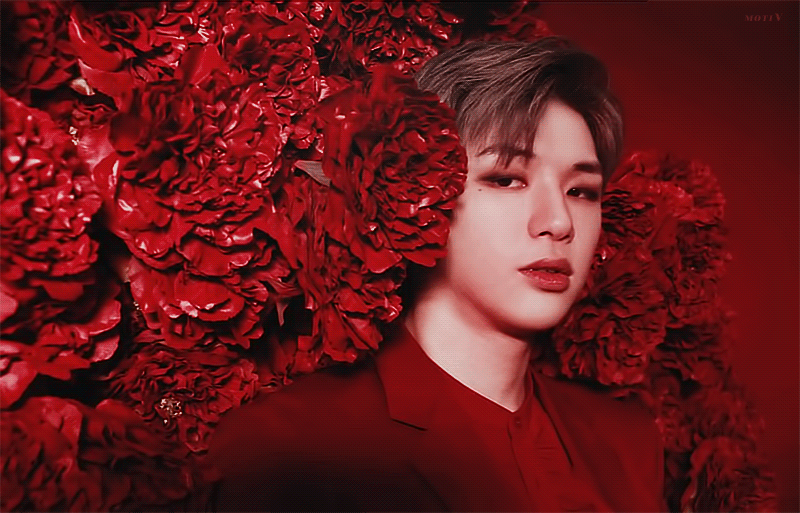 강다니엘 팬들은 이런거 조아하지? | 인스티즈
