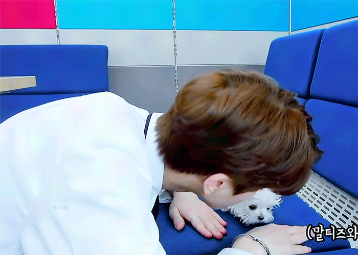 더보이즈+강아지=필승조합 | 인스티즈