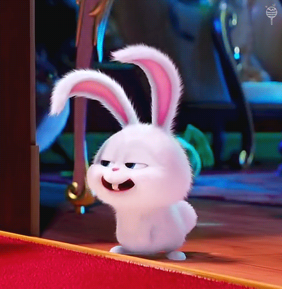 얘 이름이 뭐야???? | 인스티즈