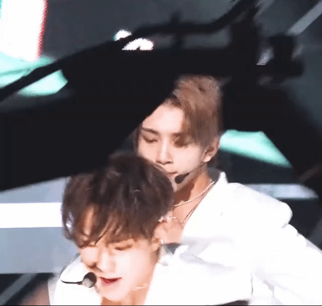 [잡담] 본진 호랑이 소개시켜줘 | 인스티즈