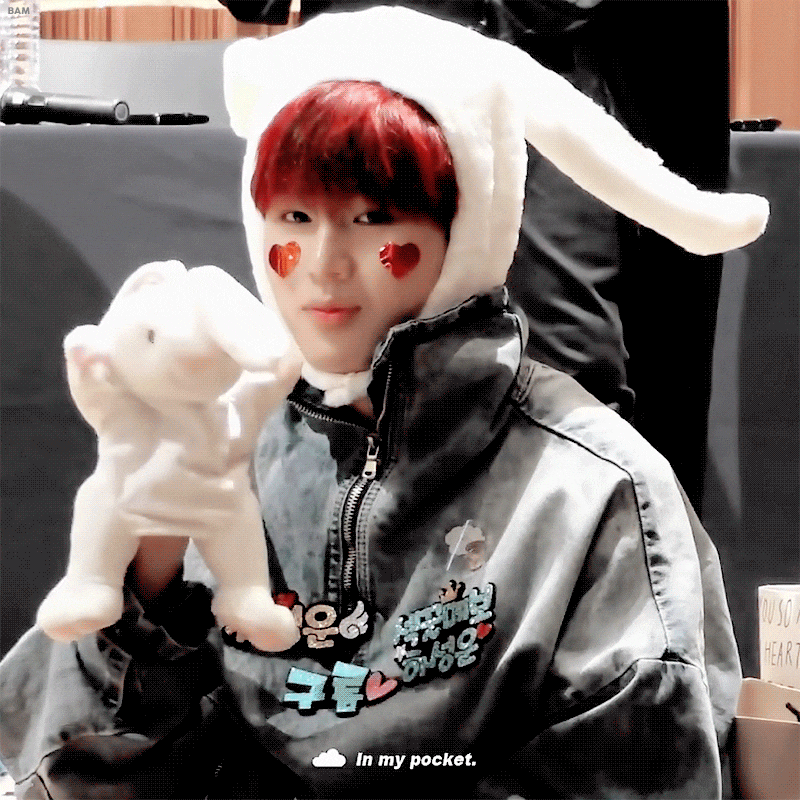 강아지 모음집 🐶 | 인스티즈