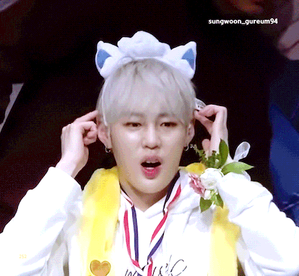 강아지 모음집 🐶 | 인스티즈