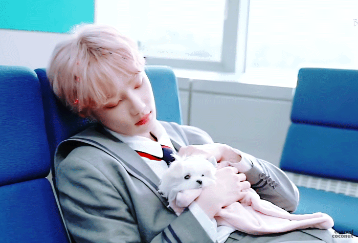 더보이즈 + 모리 = 필승조합 | 인스티즈