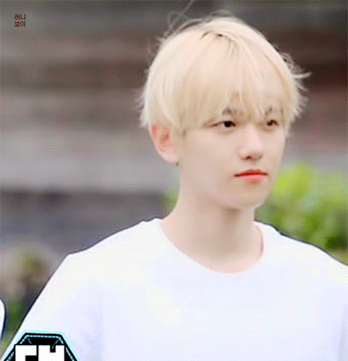 백현 이날은 언제게 | 인스티즈